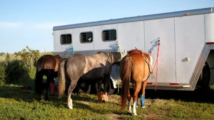 Why is it Called a Fifth Wheel? History and Features of the RV fifth wheel coupler